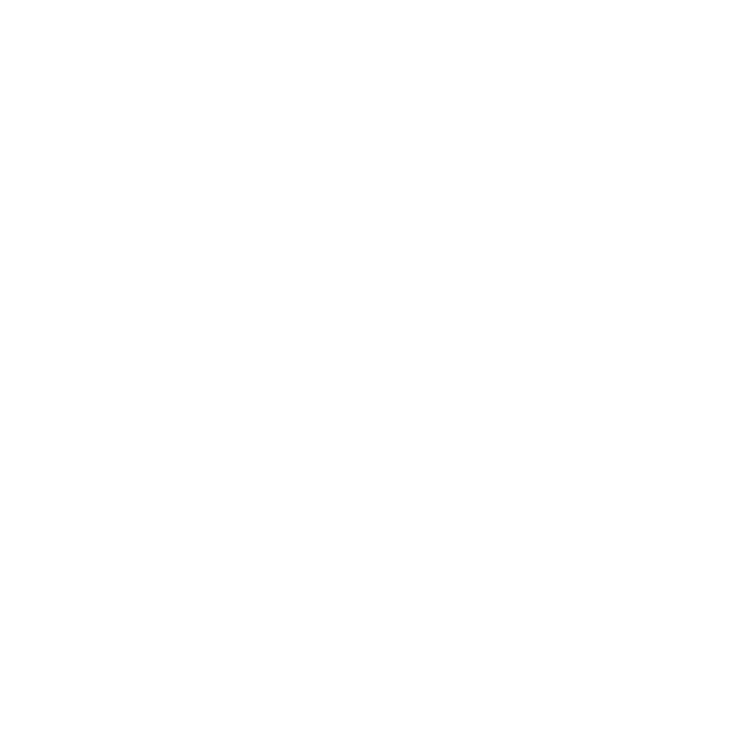 Camion-1